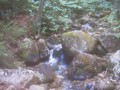 summer_2004_063_sm.jpg