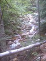 summer_2004_088_sm.jpg